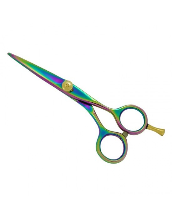 Professional Hair Cutting Scissors