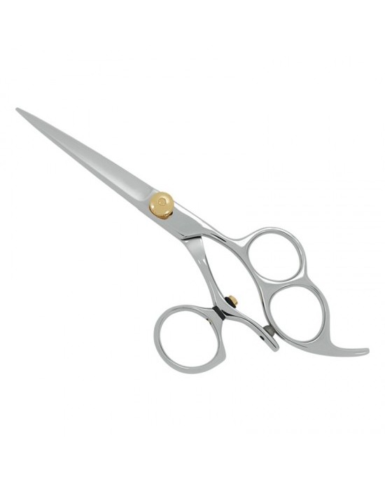 Professional Hair Cutting Scissors