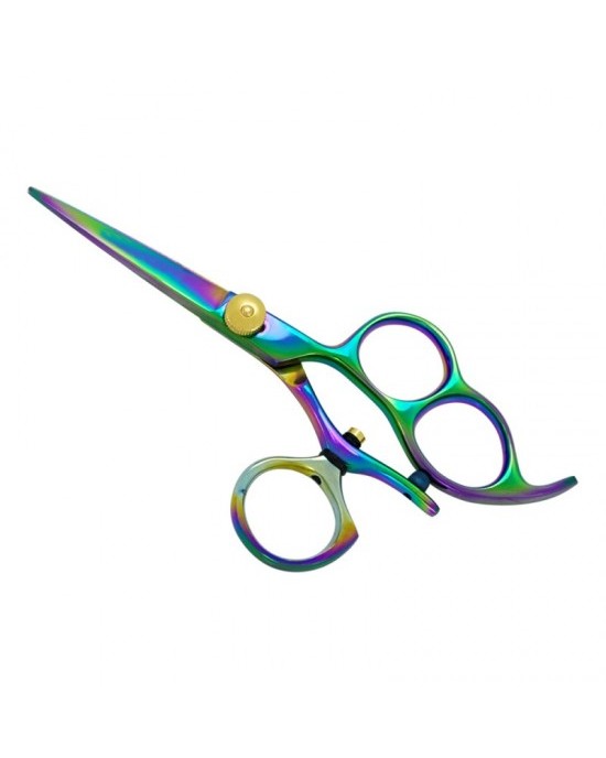 Professional Hair Cutting Scissors