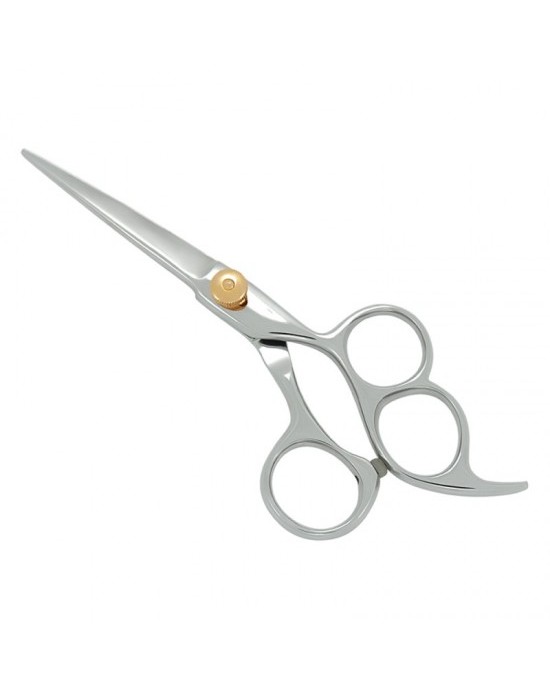 Professional Hair Cutting Scissors