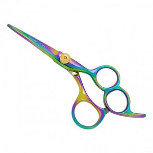 Professional Hair Cutting Scissors