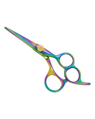 Professional Hair Cutting Scissors