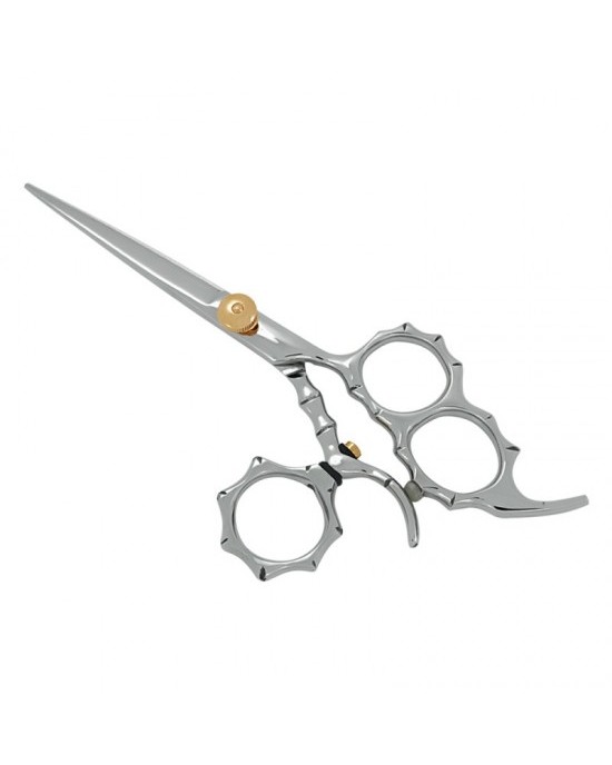 Professional Hair Cutting Scissors