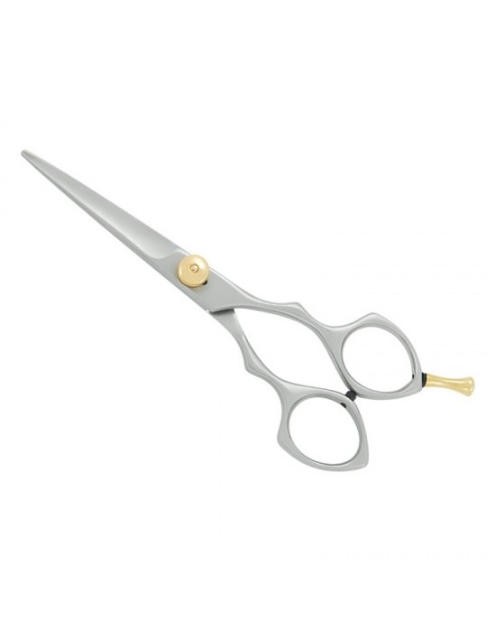 Professional Hair Cutting Scissors